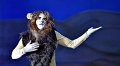 Lionking 0459